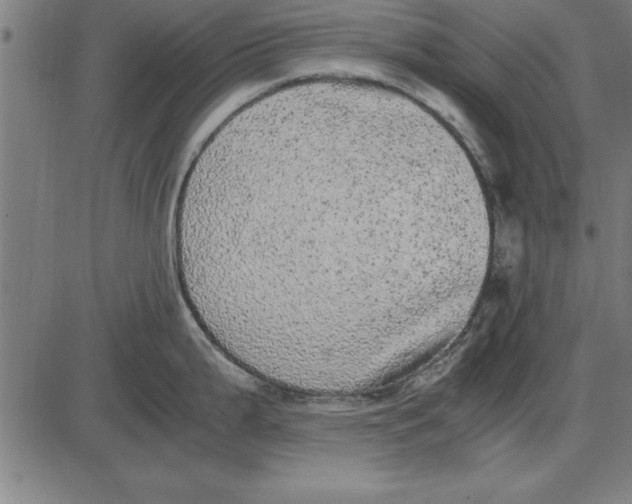 X0000086111199200704091410