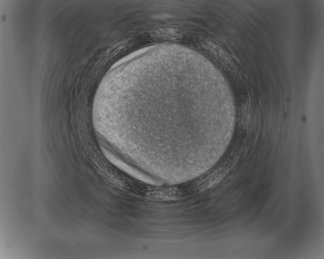 X0000086111201200704091409