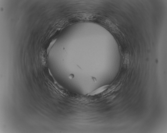 X0000086111202200704091409