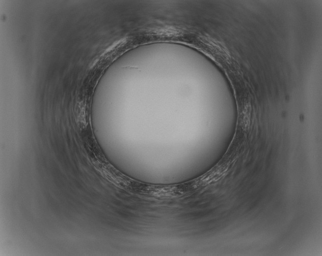 X0000086111205200704091409