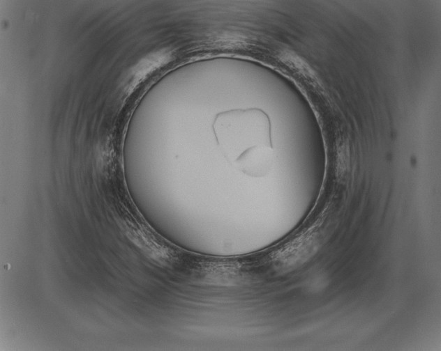 X0000086111210200704091409