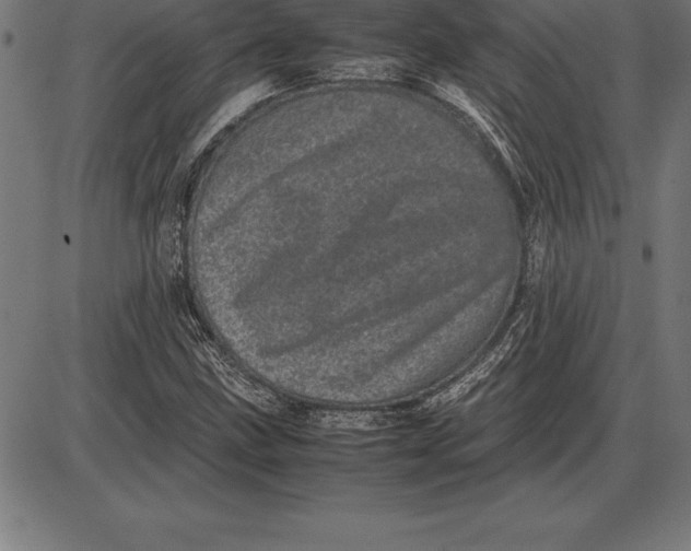 X0000086111211200704091409