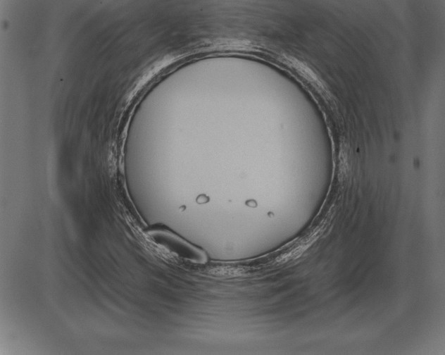 X0000086111212200704091409