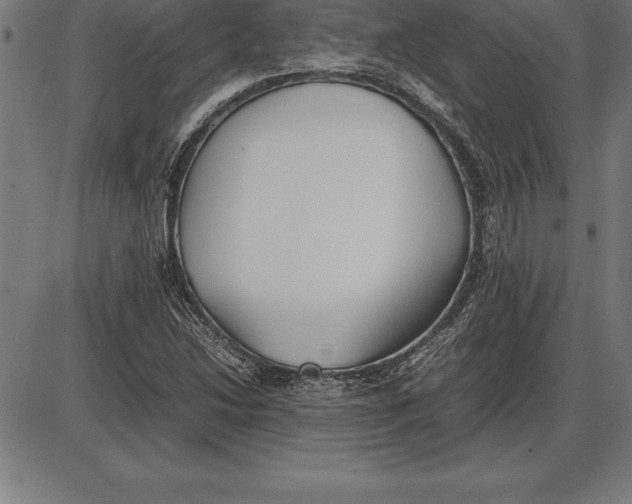 X0000086111214200704091409