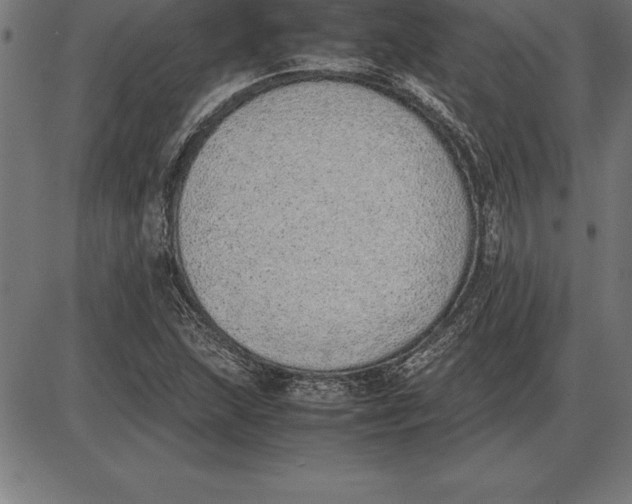 X0000086111215200704091409