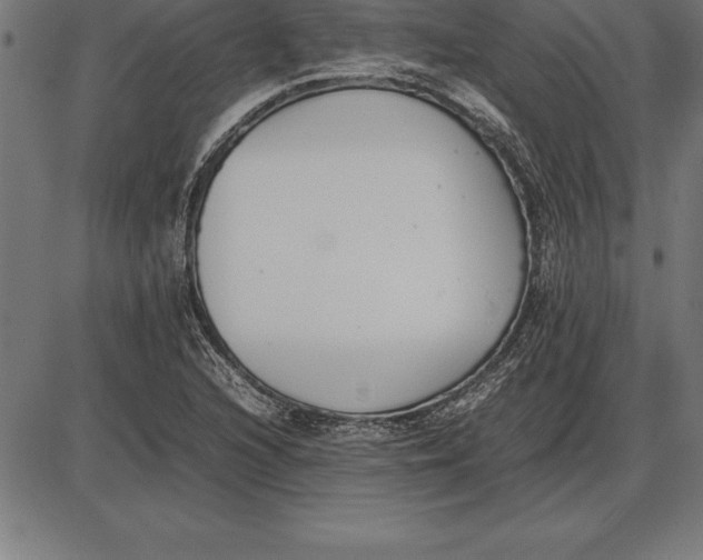 X0000086111216200704091410