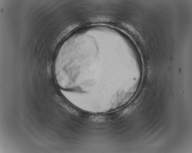 X0000086111217200704091410