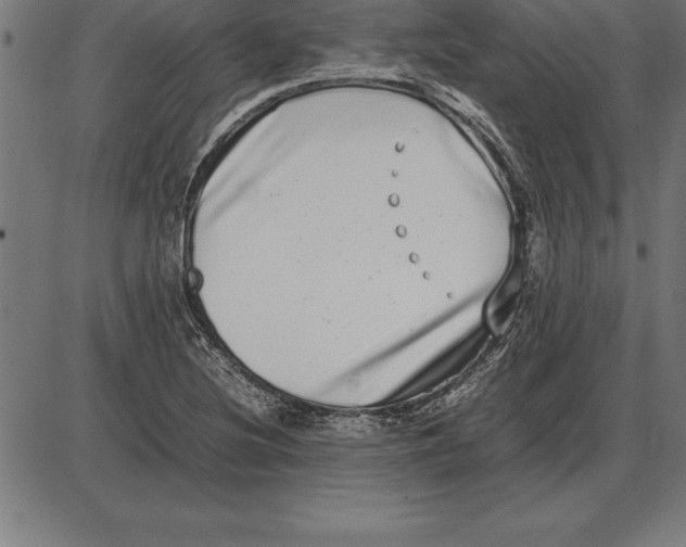 X0000086111220200704091410