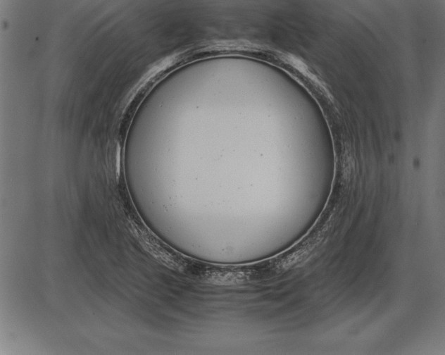 X0000086111221200704091410