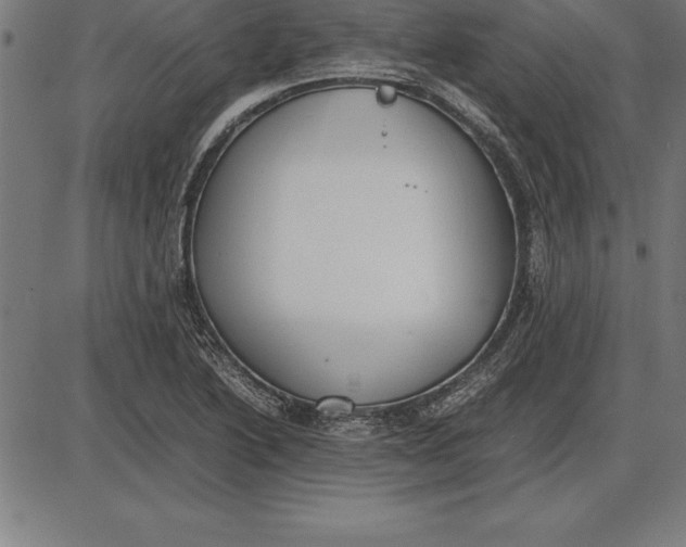 X0000086111222200704091410