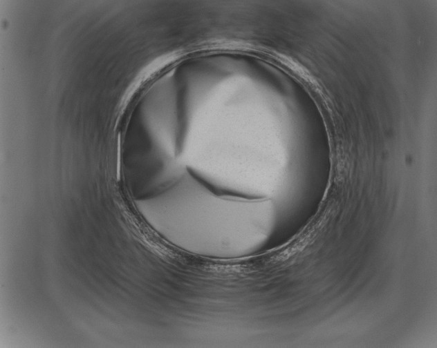 X0000086111223200704091410