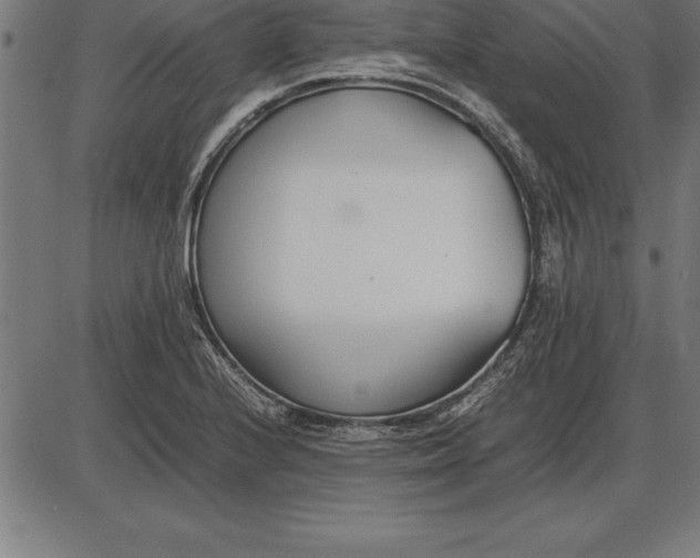 X0000086111224200704091410