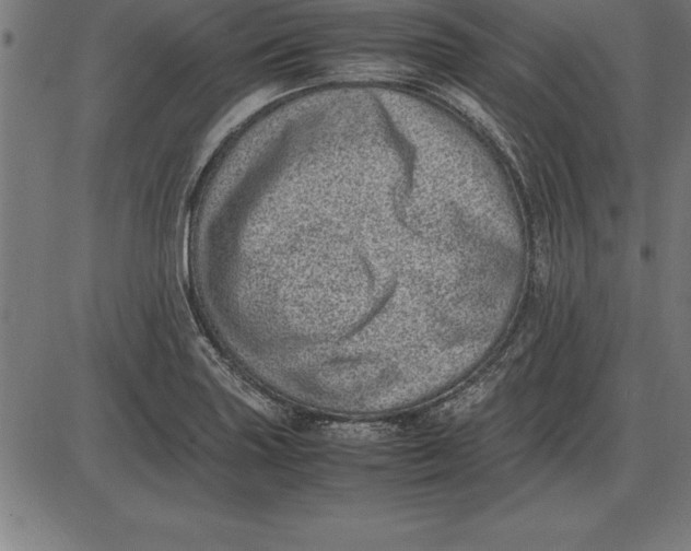 X0000086111227200704091410