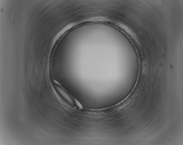 X0000086111229200704091410