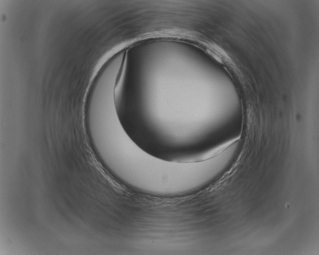 X0000086111230200704091410