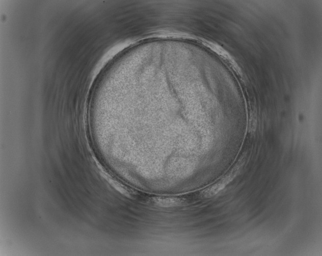 X0000086111231200704091410