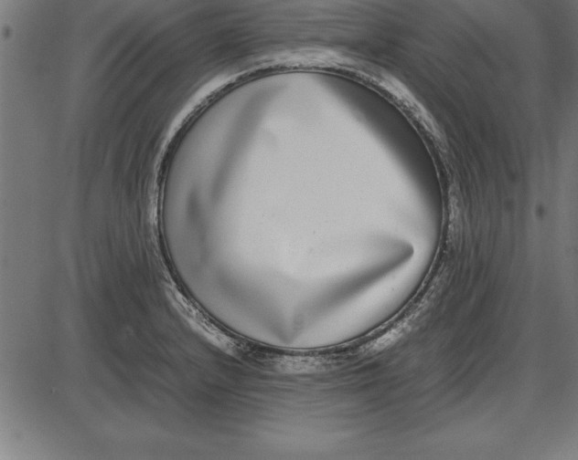 X0000086111232200704091410