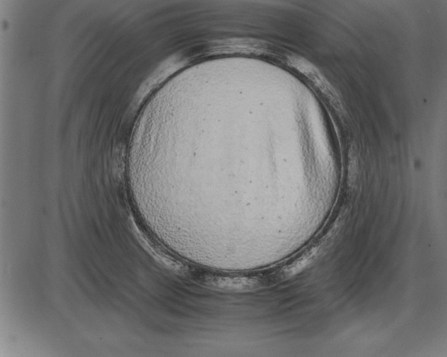 X0000086111233200704091410