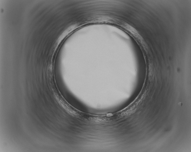 X0000086111234200704091410