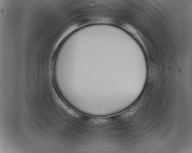 X0000086111235200704091410