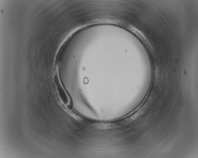 X0000086111236200704091410