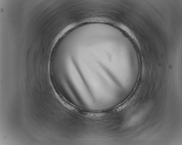 X0000086111237200704091410