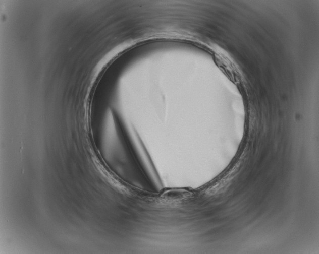 X0000086111238200704091410