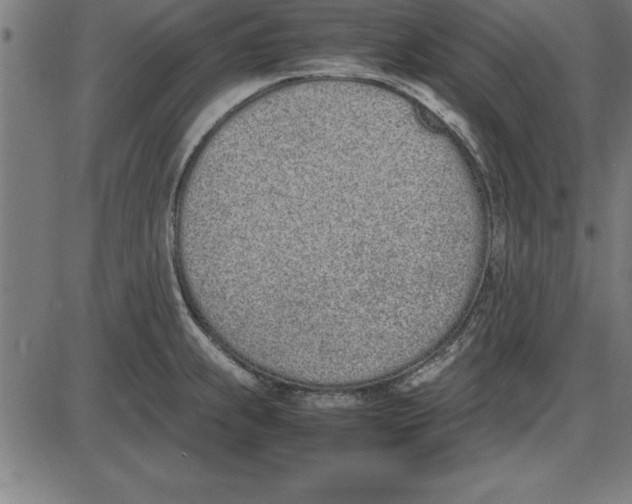 X0000086111239200704091410