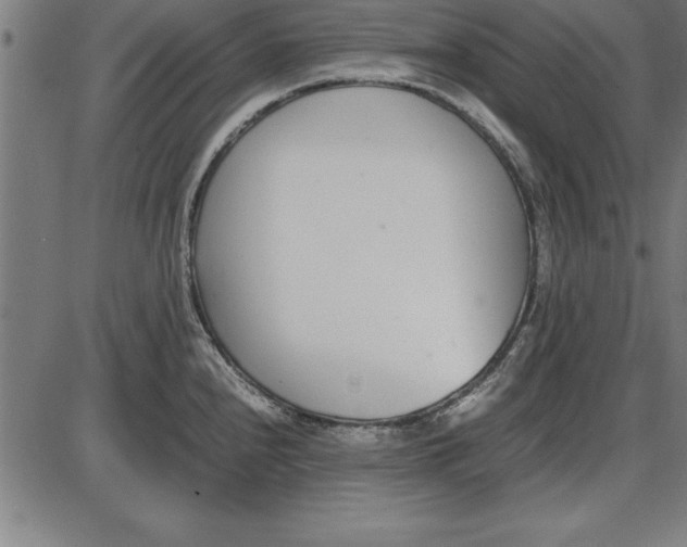 X0000086111240200704091410