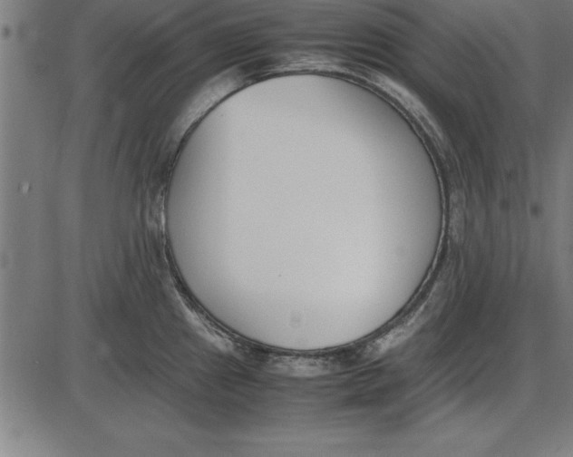 X0000086111241200704091410