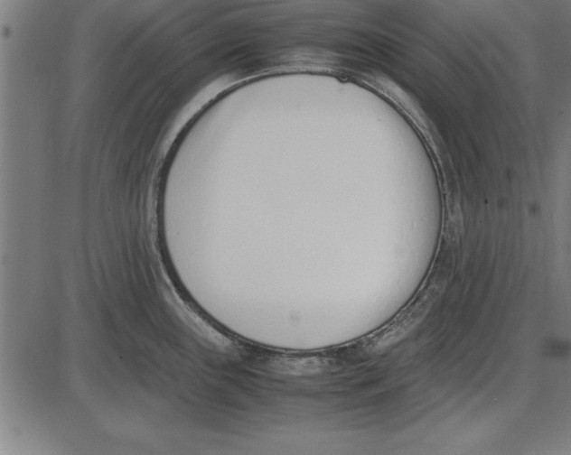 X0000086111243200704091410