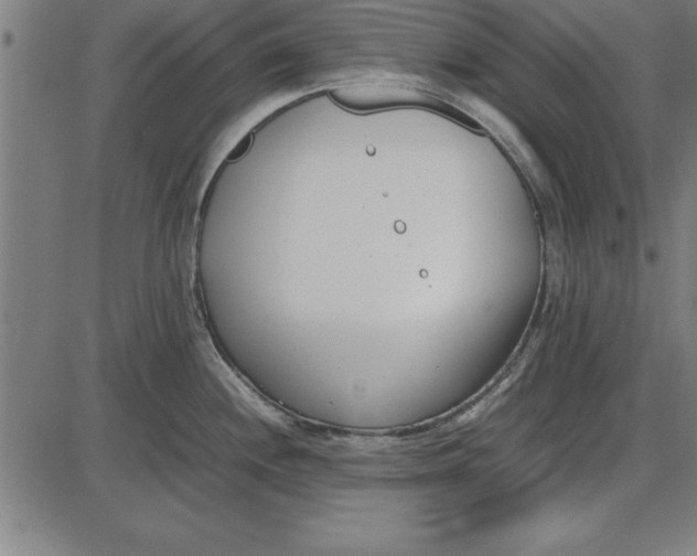 X0000086111244200704091410