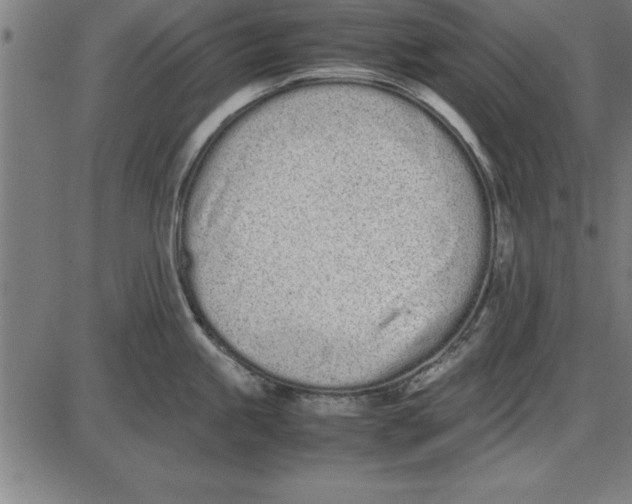 X0000086111245200704091410