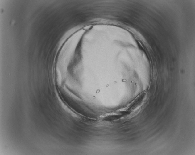 X0000086111247200704091410