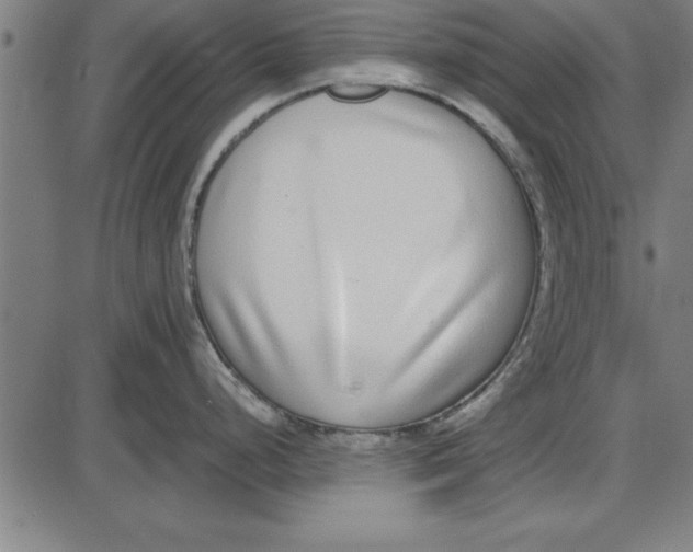 X0000086111248200704091410