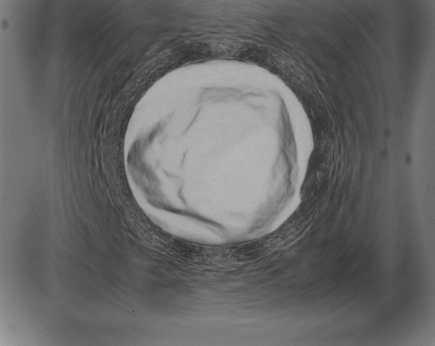 X0000086111249200704091409