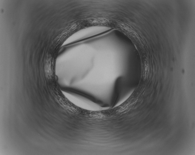 X0000086111250200704091409