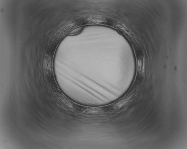 X0000086111251200704091409