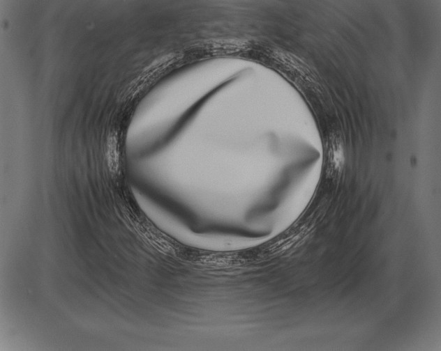 X0000086111252200704091409