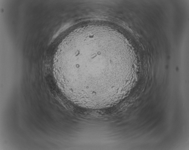 X0000086111255200704091409