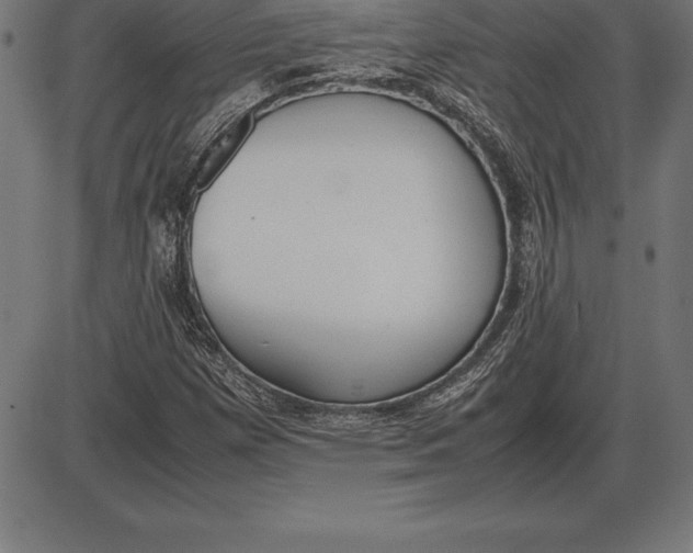 X0000086111257200704091409