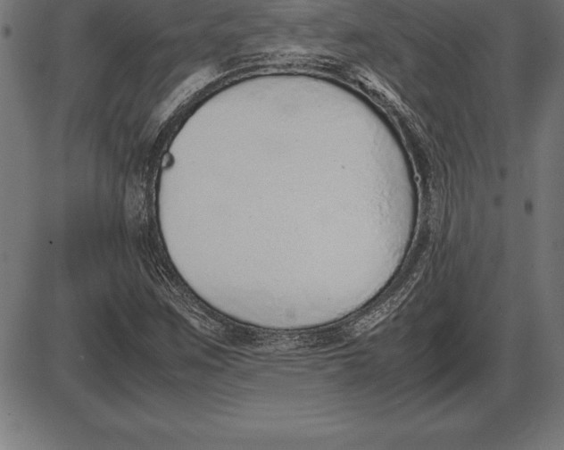 X0000086111259200704091409