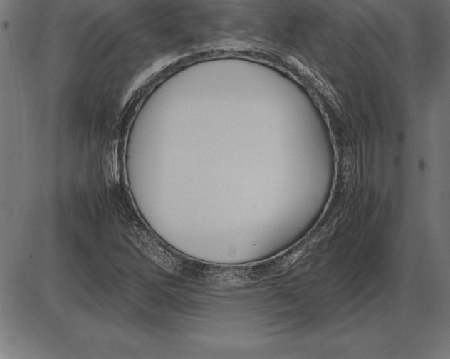 X0000086111262200704091409