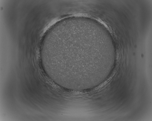 X0000086111263200704091409