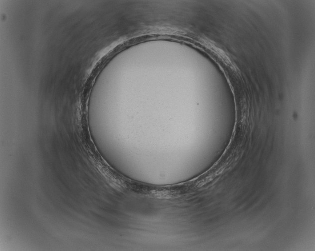 X0000086111264200704091409