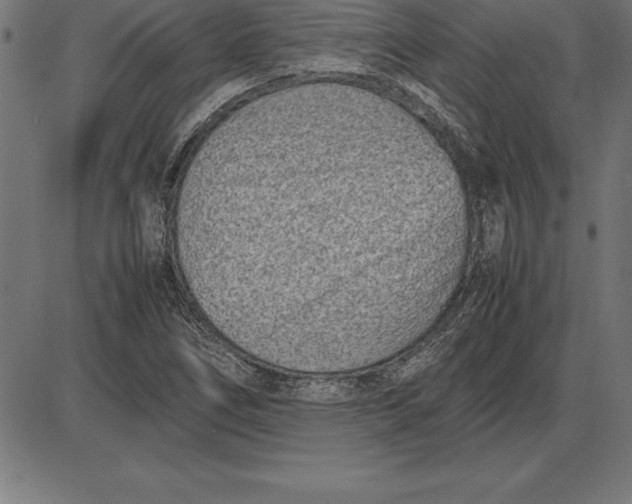 X0000086111266200704091409