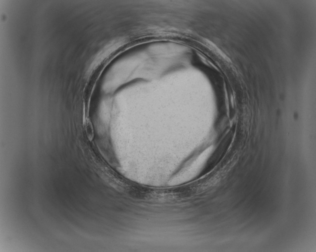 X0000086111269200704091409