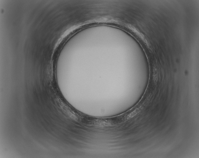 X0000086111270200704091409