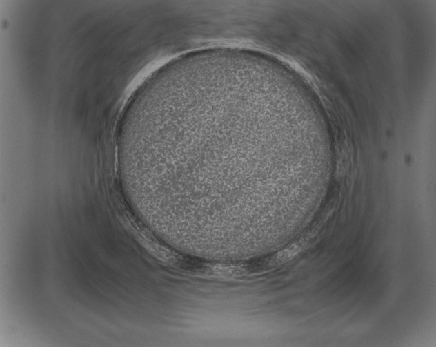 X0000086111271200704091409