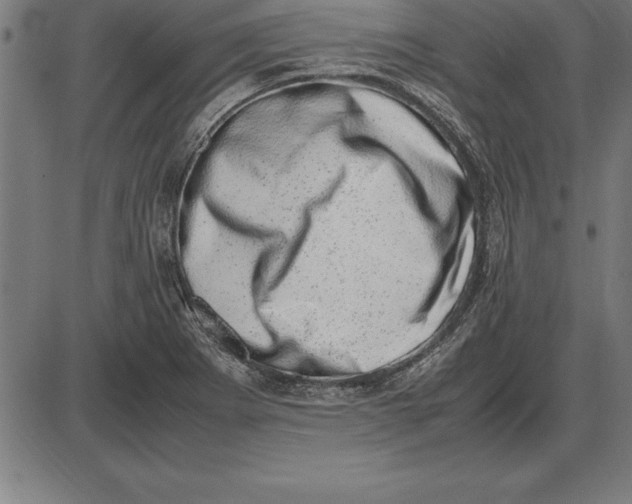 X0000086111273200704091409